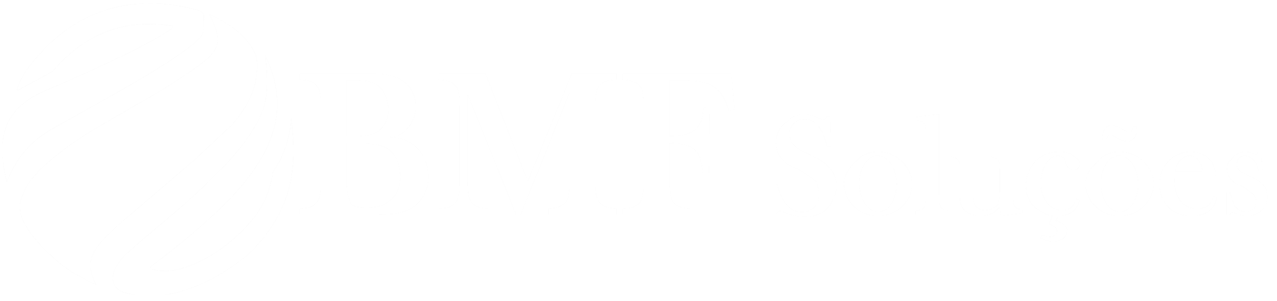 BMF Soluções